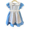 Only Little Once Alice Wonderland Dress 3Y