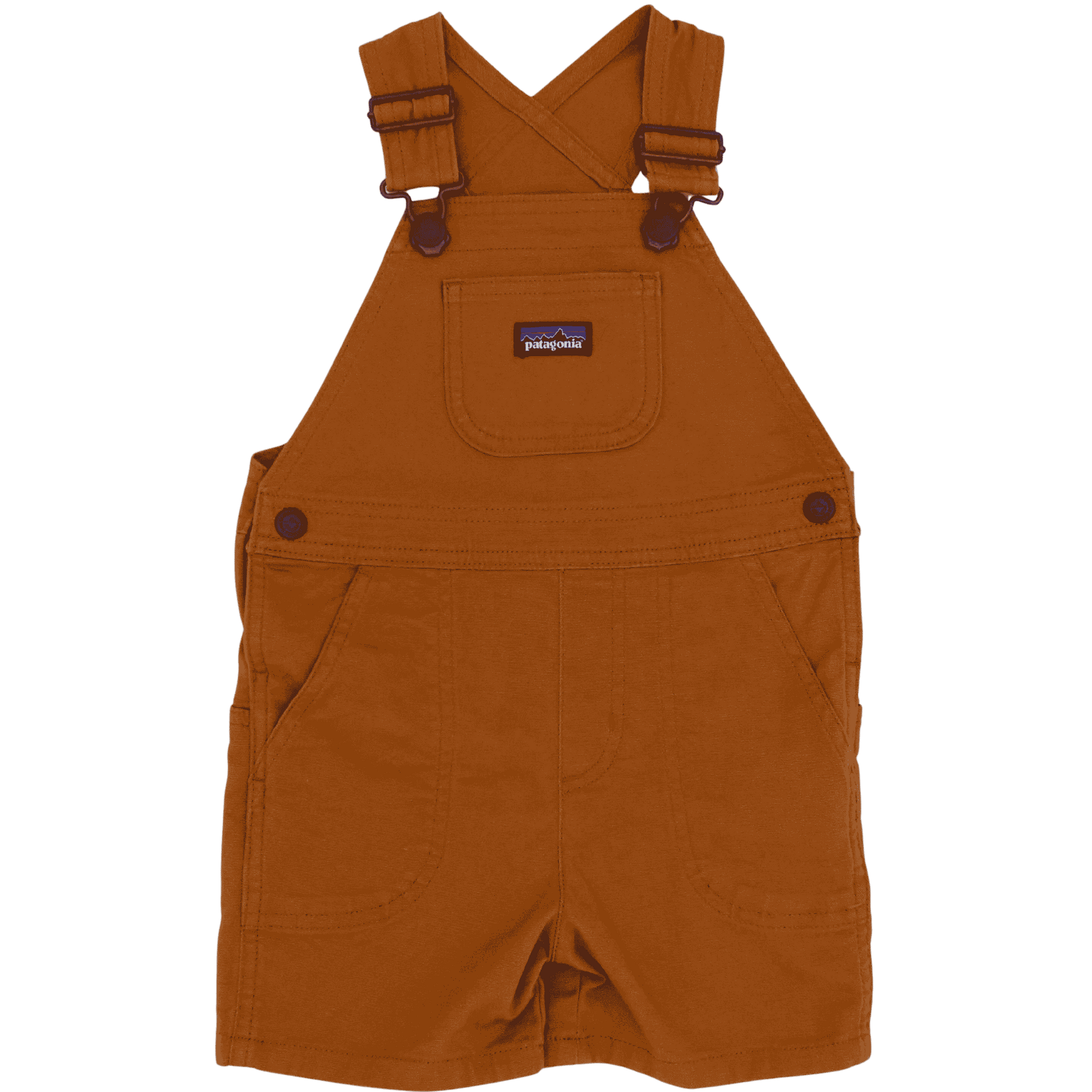 Patagonia Overall Shorts 2Y