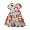 Posh Peanut Blue Floral Dress 2Y