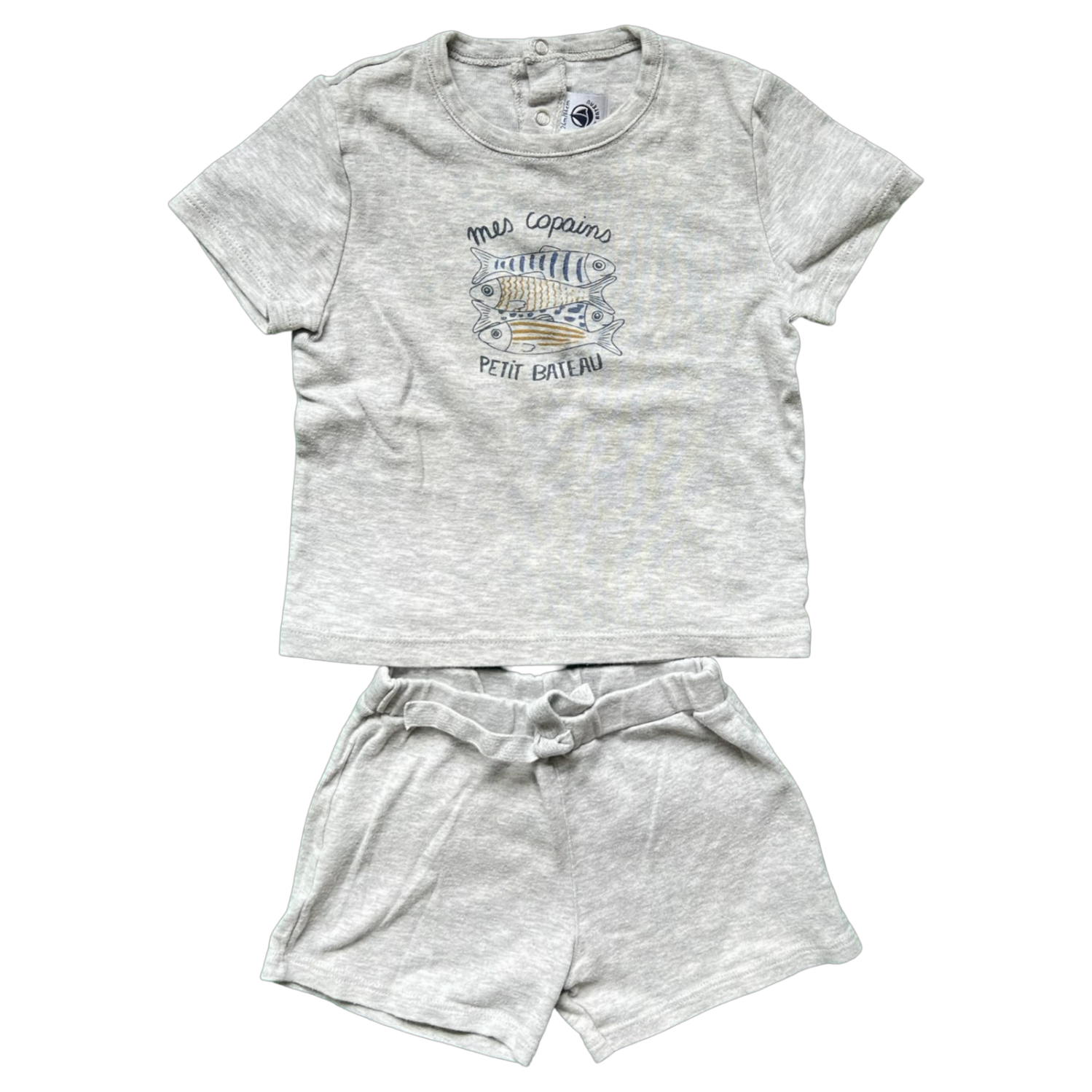 Petit Bateau Gray T-Shirt and Short Set 24M