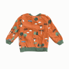 Polarn O. Pyret Orange Woodland Cotton Sweater 2-3Y