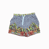 Antica Sartoria by Giacomo Cinque Cactus Swim Trunks 4Y