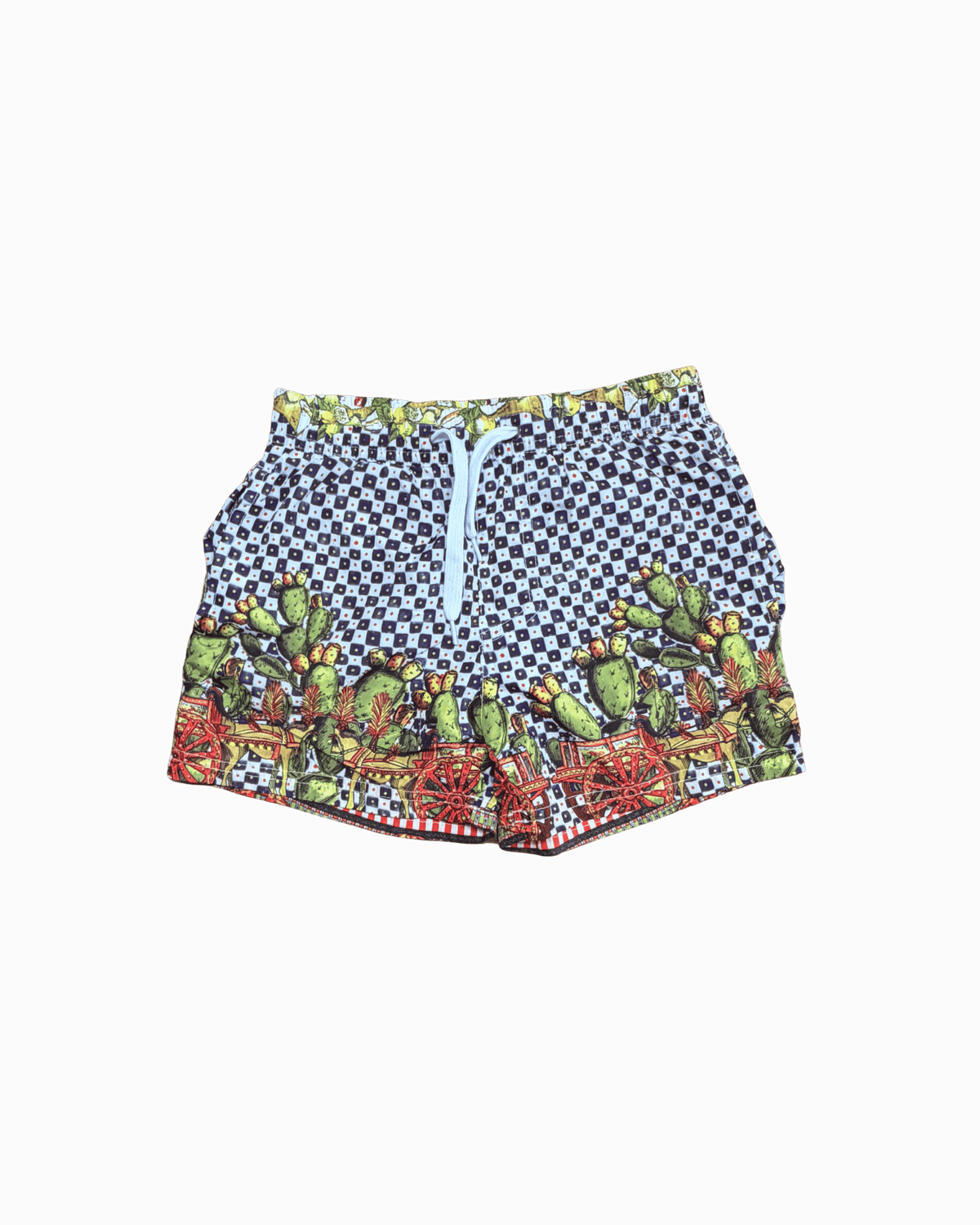 Antica Sartoria by Giacomo Cinque Cactus Swim Trunks 4Y